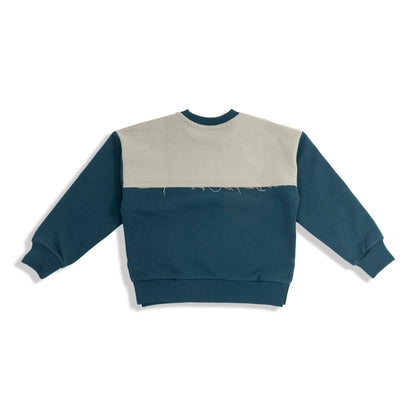 Dual-Tone Hoodie